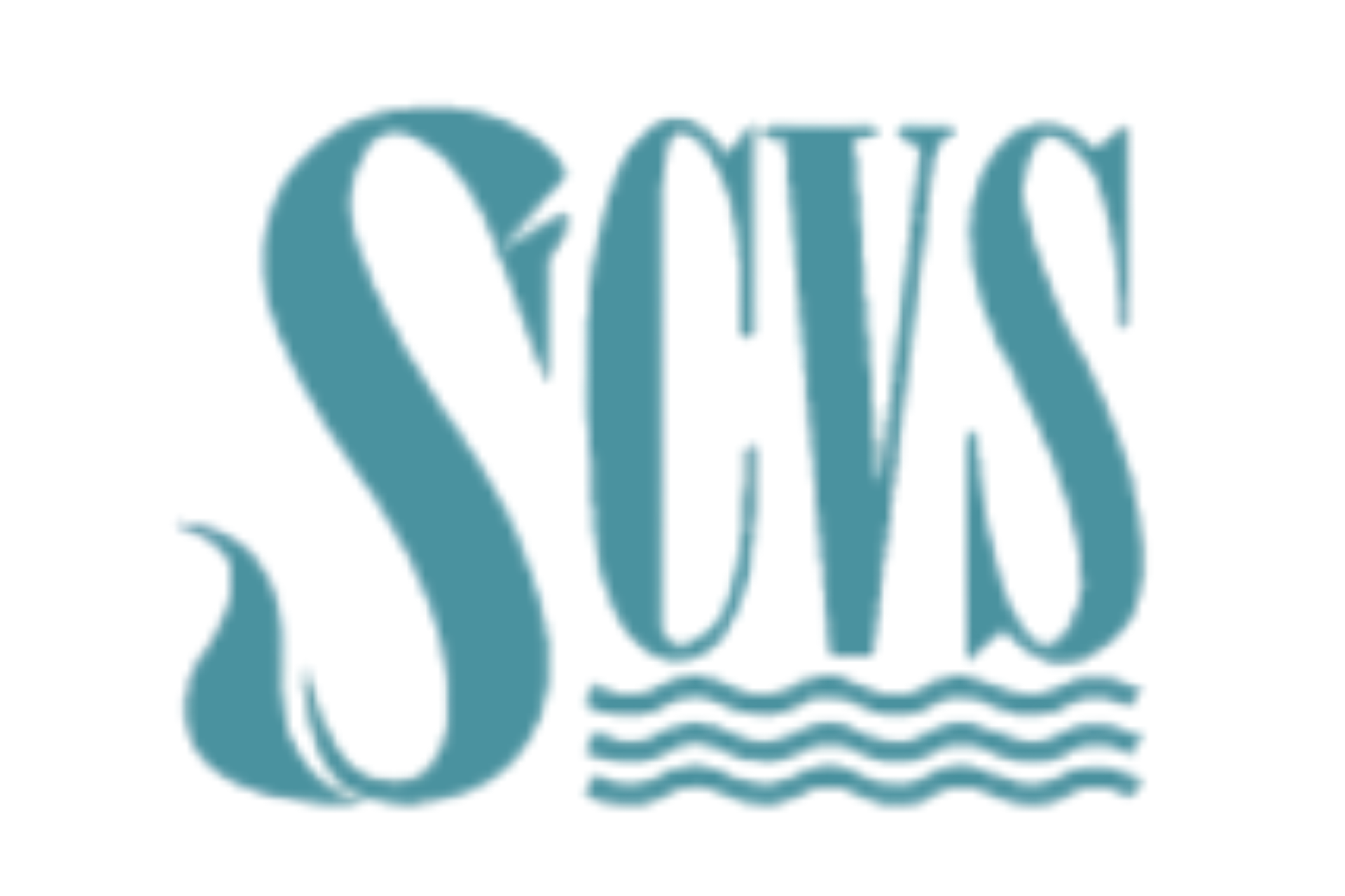 SCVS Logo